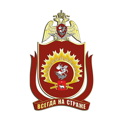 Пермский военный институт войск национальной гвардии Российской Федерации