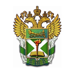 Российская таможенная академия, Санкт-Петербургский им. В.Б. Бобкова филиал